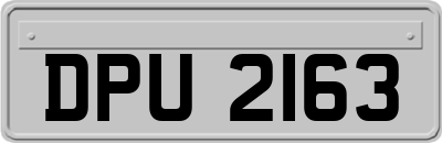 DPU2163