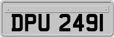 DPU2491