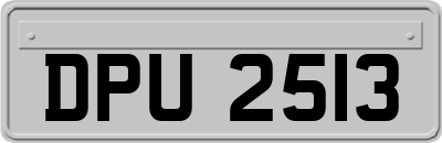 DPU2513