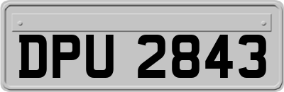 DPU2843