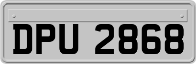 DPU2868