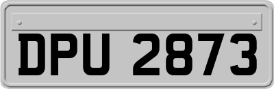 DPU2873