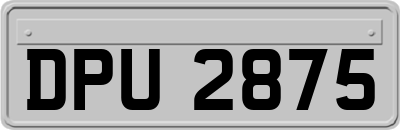 DPU2875