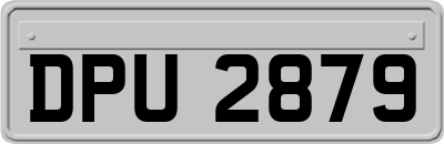 DPU2879