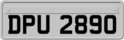 DPU2890