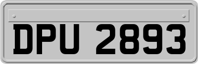 DPU2893