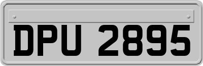 DPU2895
