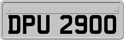 DPU2900