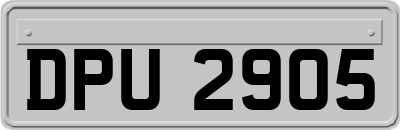 DPU2905