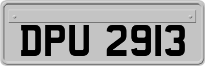 DPU2913