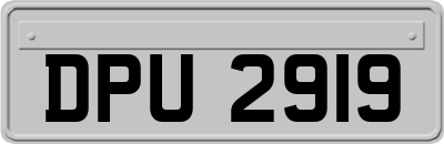 DPU2919