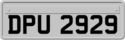 DPU2929