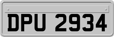 DPU2934