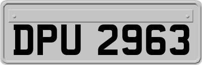 DPU2963