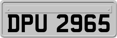 DPU2965