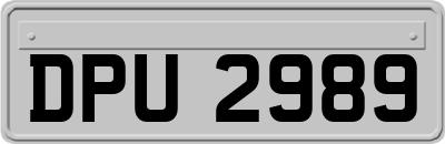 DPU2989