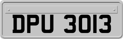 DPU3013