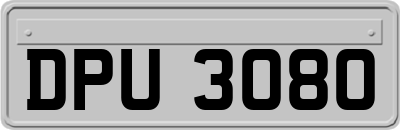 DPU3080