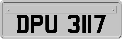 DPU3117