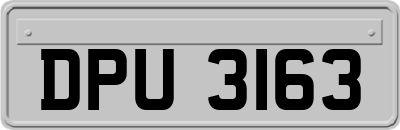 DPU3163