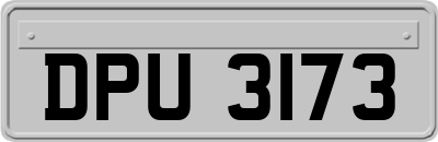 DPU3173