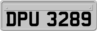 DPU3289