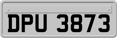 DPU3873