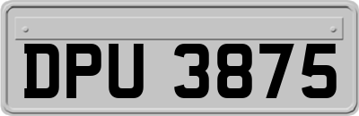 DPU3875