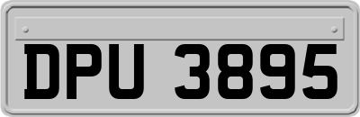 DPU3895