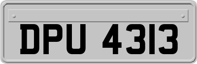DPU4313