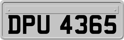 DPU4365