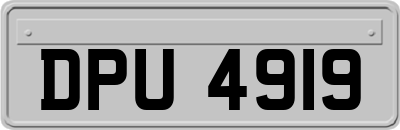 DPU4919
