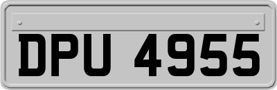 DPU4955
