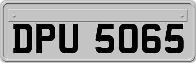 DPU5065
