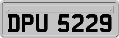 DPU5229