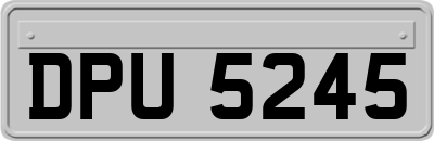 DPU5245