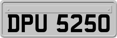 DPU5250