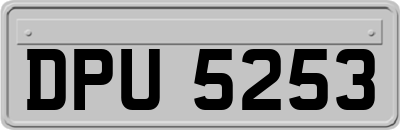 DPU5253