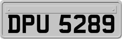 DPU5289