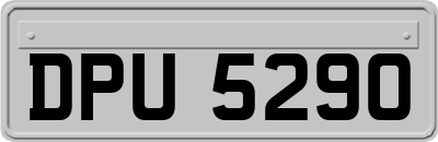 DPU5290