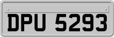 DPU5293