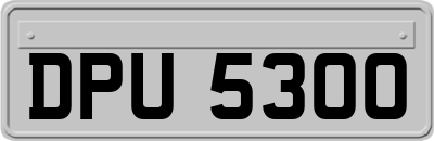 DPU5300