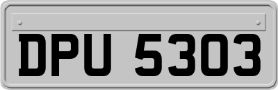 DPU5303