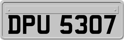 DPU5307