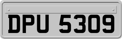 DPU5309