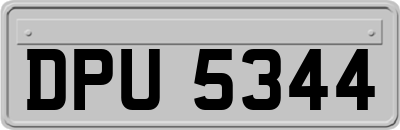 DPU5344