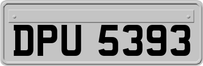 DPU5393