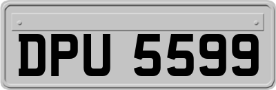 DPU5599