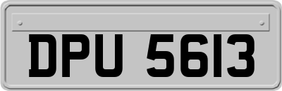 DPU5613