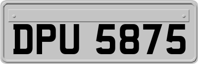 DPU5875